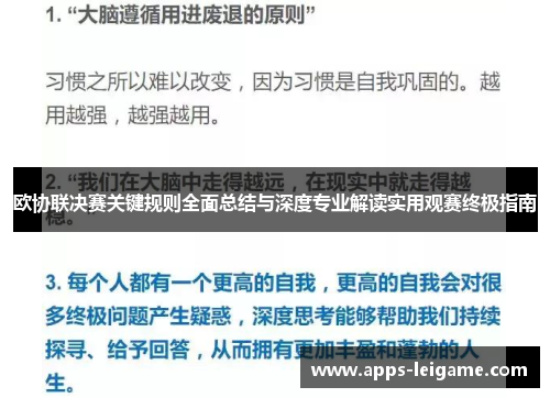 欧协联决赛关键规则全面总结与深度专业解读实用观赛终极指南