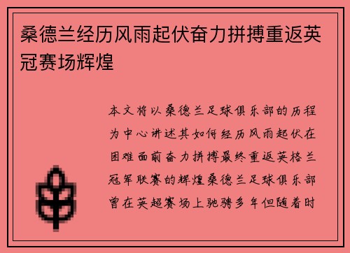 桑德兰经历风雨起伏奋力拼搏重返英冠赛场辉煌