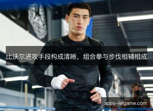 比沃尔进攻手段构成清晰，组合拳与步伐相辅相成